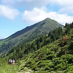 Willms Am Gaisberg