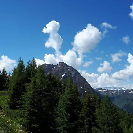 Апартаменты Willms Am Gaisberg Кирхберг