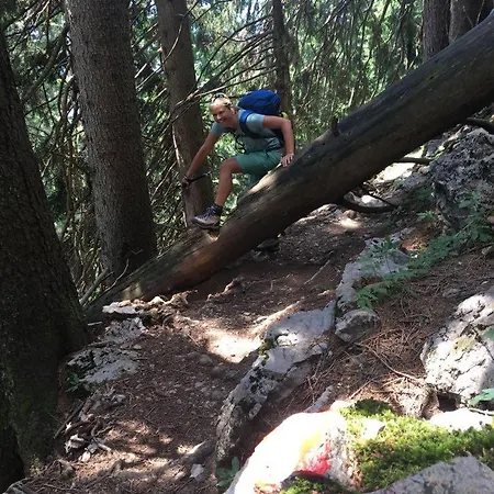 Willms Am Gaisberg Апартаменты Кирхберг