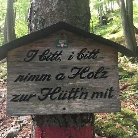 Апартаменты Willms Am Gaisberg Кирхберг
