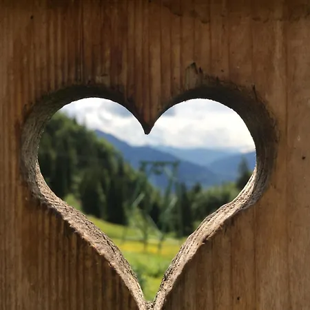 Willms Am Gaisberg *