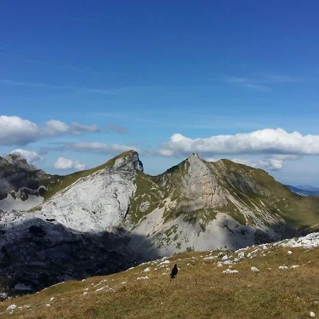 Daire Willms Am Gaisberg