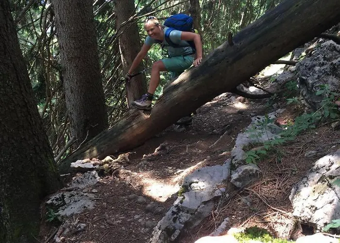 Willms Am Gaisberg شقة كيرشبرغ ان تيرول