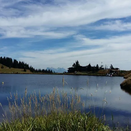 Appartement Willms Am Gaisberg