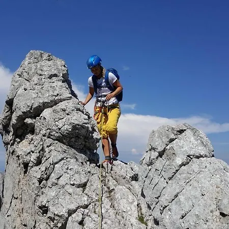 Willms Am Gaisberg 公寓