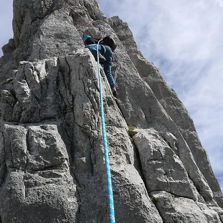 Willms Am Gaisberg * 蒂罗尔-基希贝格